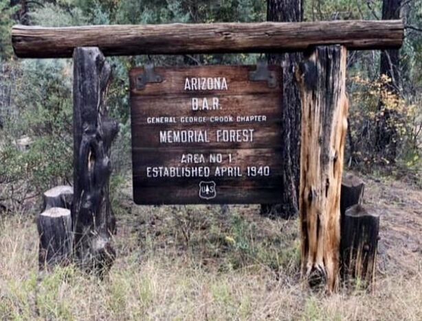 A color snapshot of the U.S. Forest Service sign in an outdoor setting that reads, “Arizona D.A.R. General George Crook Chapter / Memorial Forest Area No. 1 Established April 1940 [Forest Service logo]. The Penny Pines Forest.