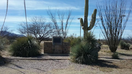 A snapshot of the marker in a setting with a saguaro cactus, two ocotillo, and other plants.