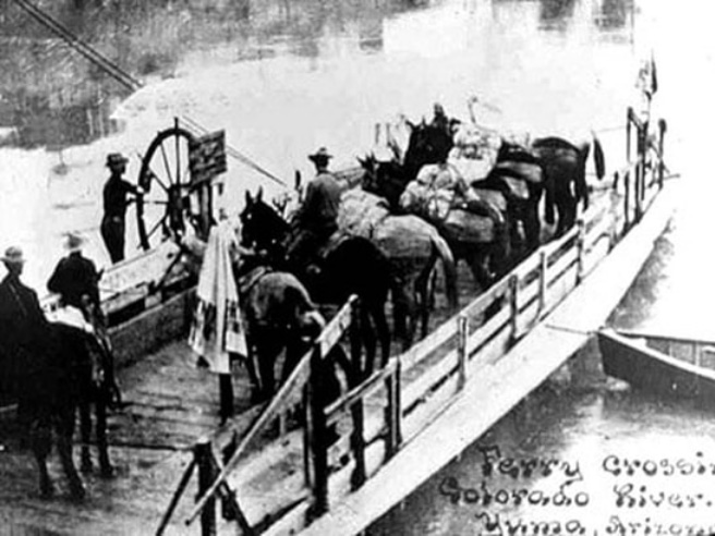 A vintage photograph showing a ferry. The boat is flat-bottomed with slats on one long side. Nine to ten horses or mules, some mounted, are lined up side by side. A figure is holding the side of a wheel the is about 8-feet tall on far side of the boat. Two cables are visible in the background. This is the ferry landing at Yuma.