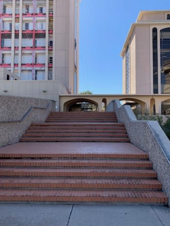 A snapshot of a broad set of stairs.