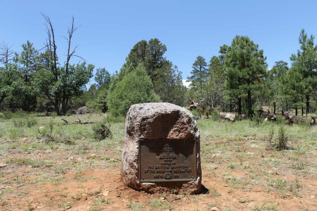 A color snapshot of an historical plaque mounted on an upright stone with evergreen trees in the background.